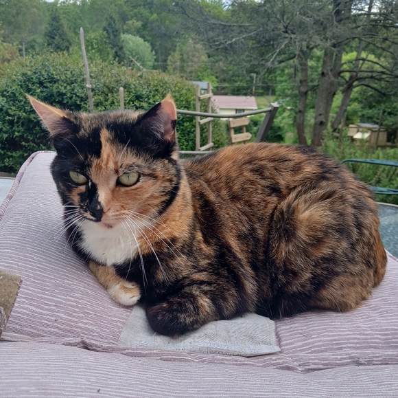 Meet your Posher, Emily - Picture 6 of 14